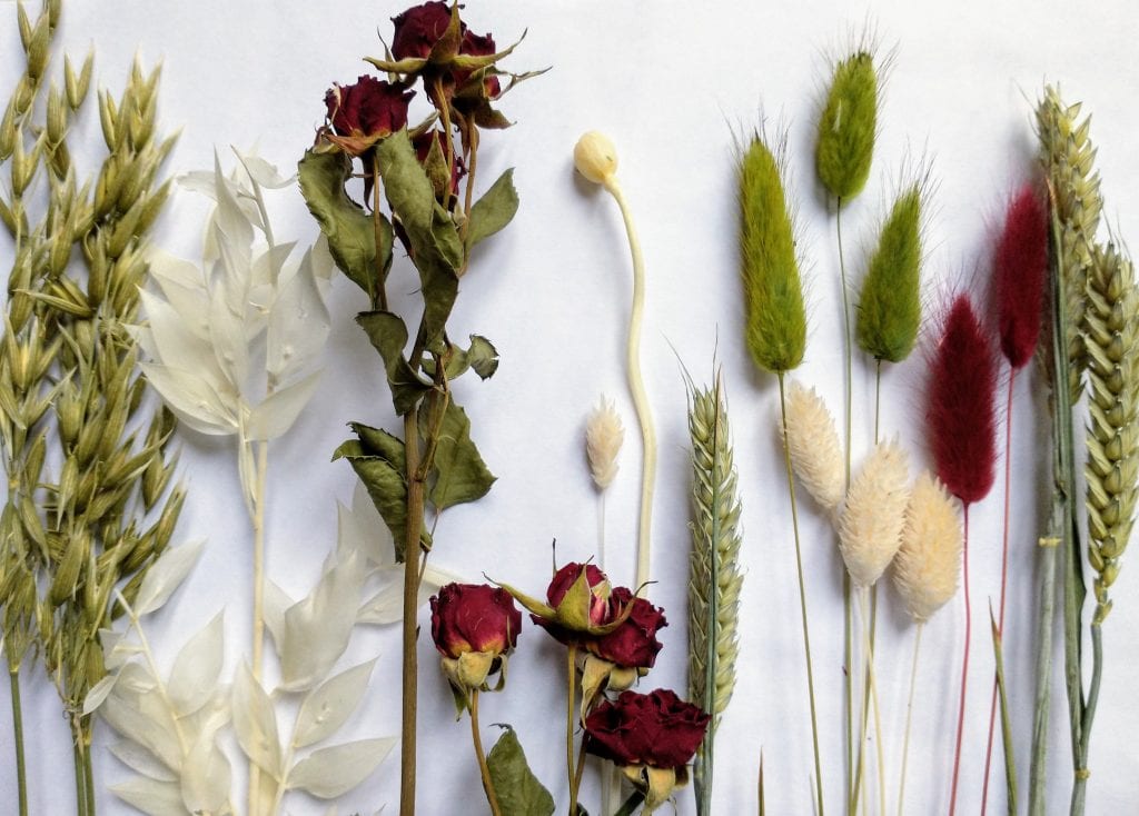 Make a Dried Flower Christmas Wreath ~ Workshop ~ Saturday 29 November '25