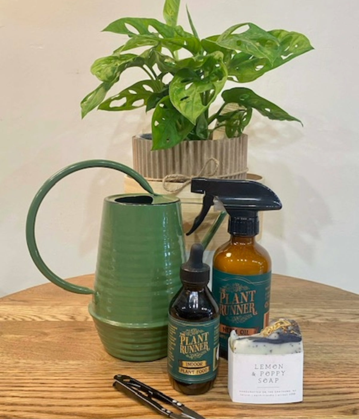 The Plant Lovers Package