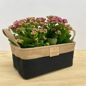 The Flowering Plant Basket